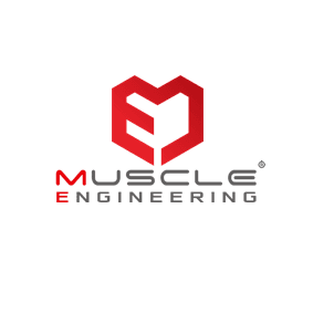 Muscle Engineering